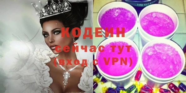гашик Киренск